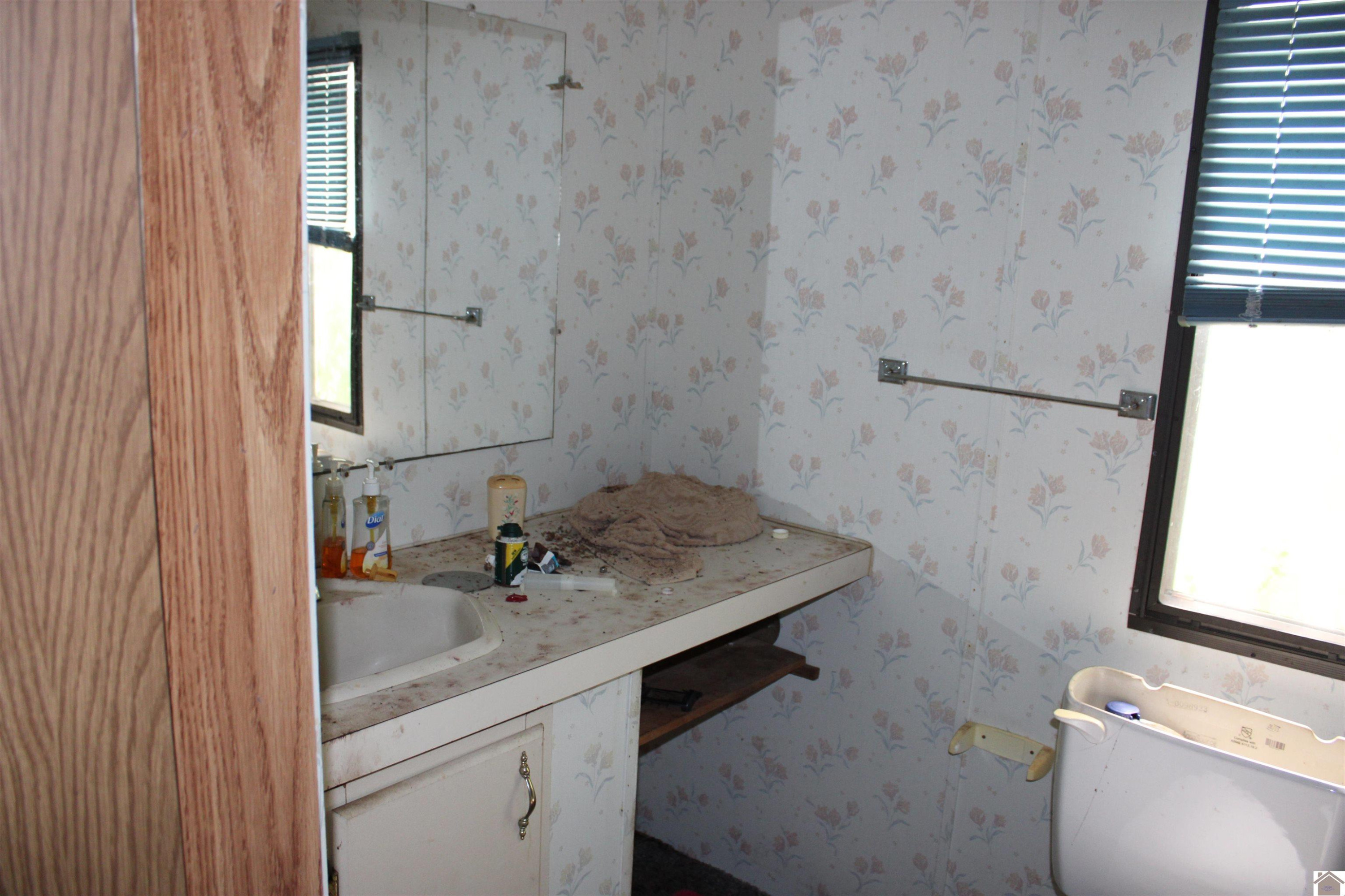 1063 Donaldson Road Princeton, KY 42445 - Photo 6 of 14 Bath