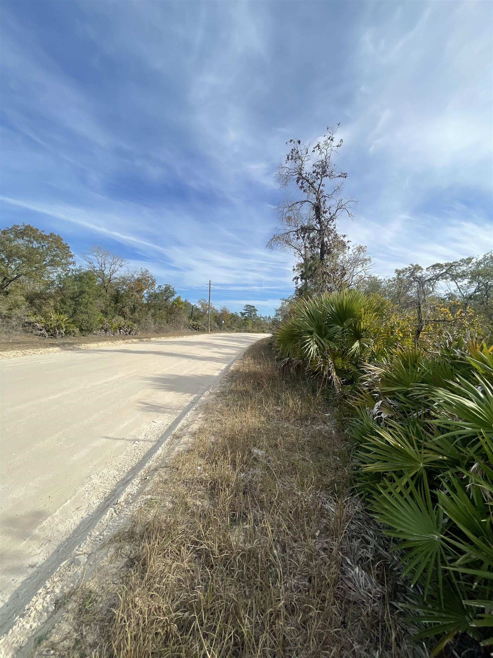 0 Yates Creek Road Perry, FL 32348 - Photo 4 of 5 Gallery Image 4