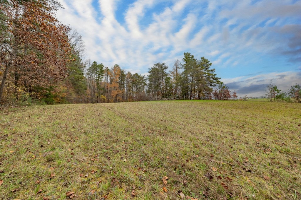 4810 Snead Spring Road Crewe, VA 23930 - Photo 12 of 58 Gallery Image 12