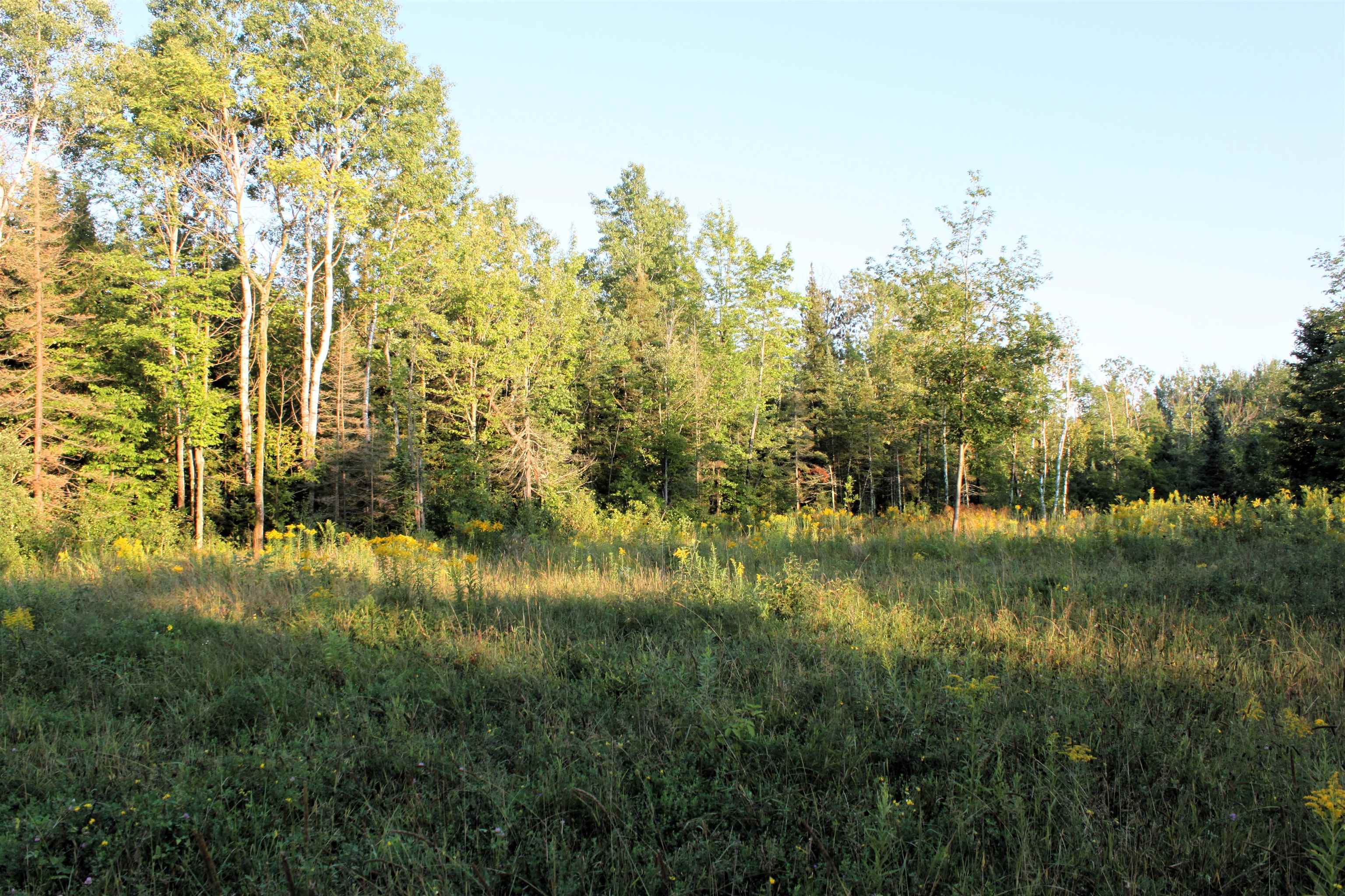 0 Redinger Road Ashland, WI 54806 - Photo 8 of 12