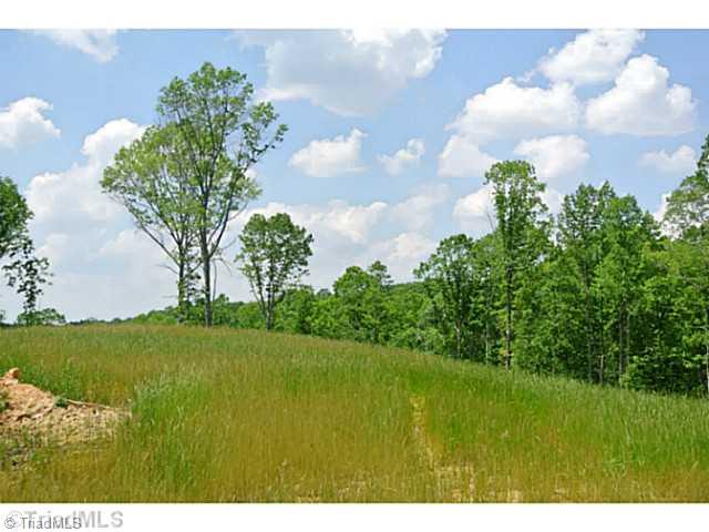 10-acres West Old Phillips Road Pinnacle, NC 27043 - Photo 8 of 16 Land. BACK LEFT
