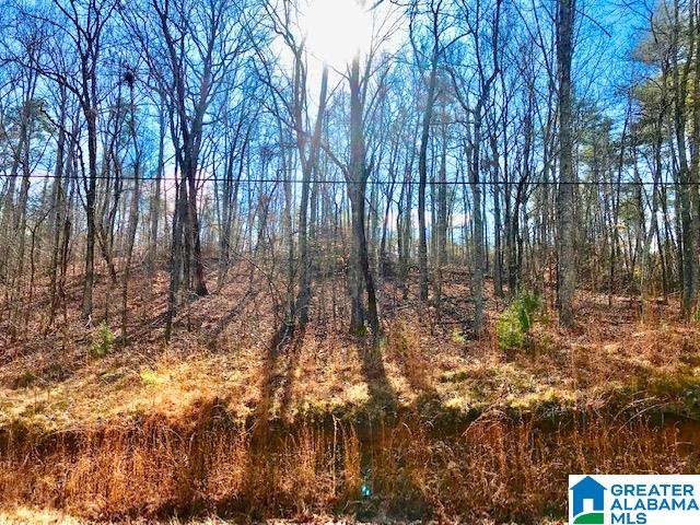 241 Valley Creek Road Piedmont, AL 36272 - Photo 6 of 13