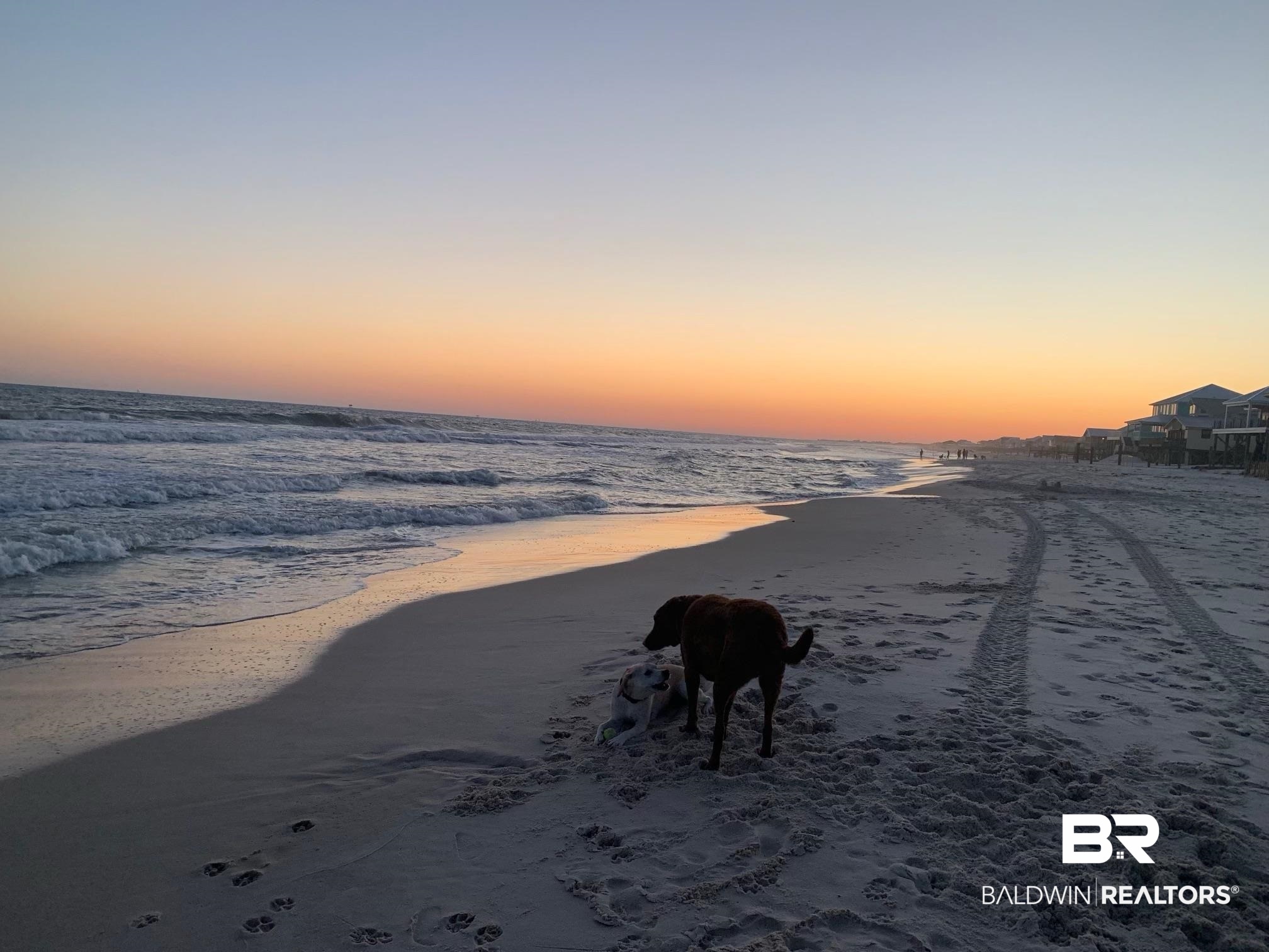 6747 Sea Shell Drive Gulf Shores, AL 36542 - Photo 37 of 37