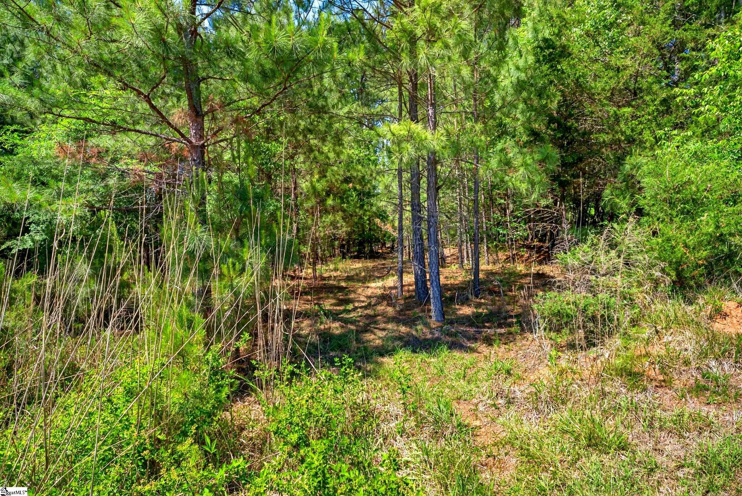 0 Gowdeysville Road, Unit LOT 1 Gaffney, SC 29340 - Photo 5 of 11