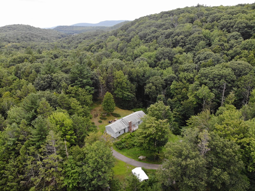 314 Main Road Westhampton, MA 01027 - Photo 25 of 25 a view of a forest with a street and mountains