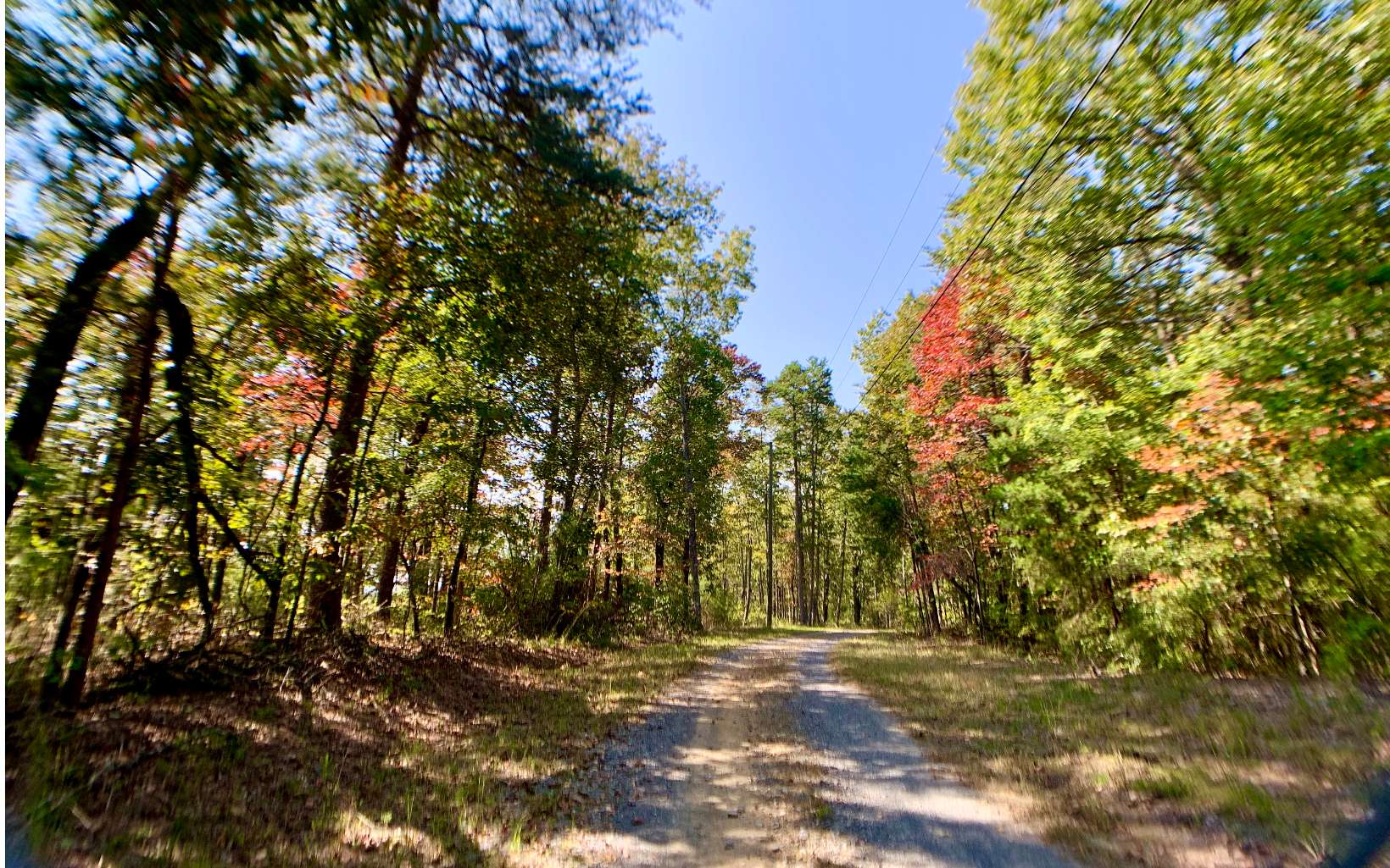 Hanna Drive Ranger, GA 30734 - Photo 1 of 1 a view of road and trees