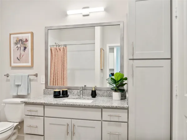 a bathroom with a granite countertop sink a mirror and a potted plant