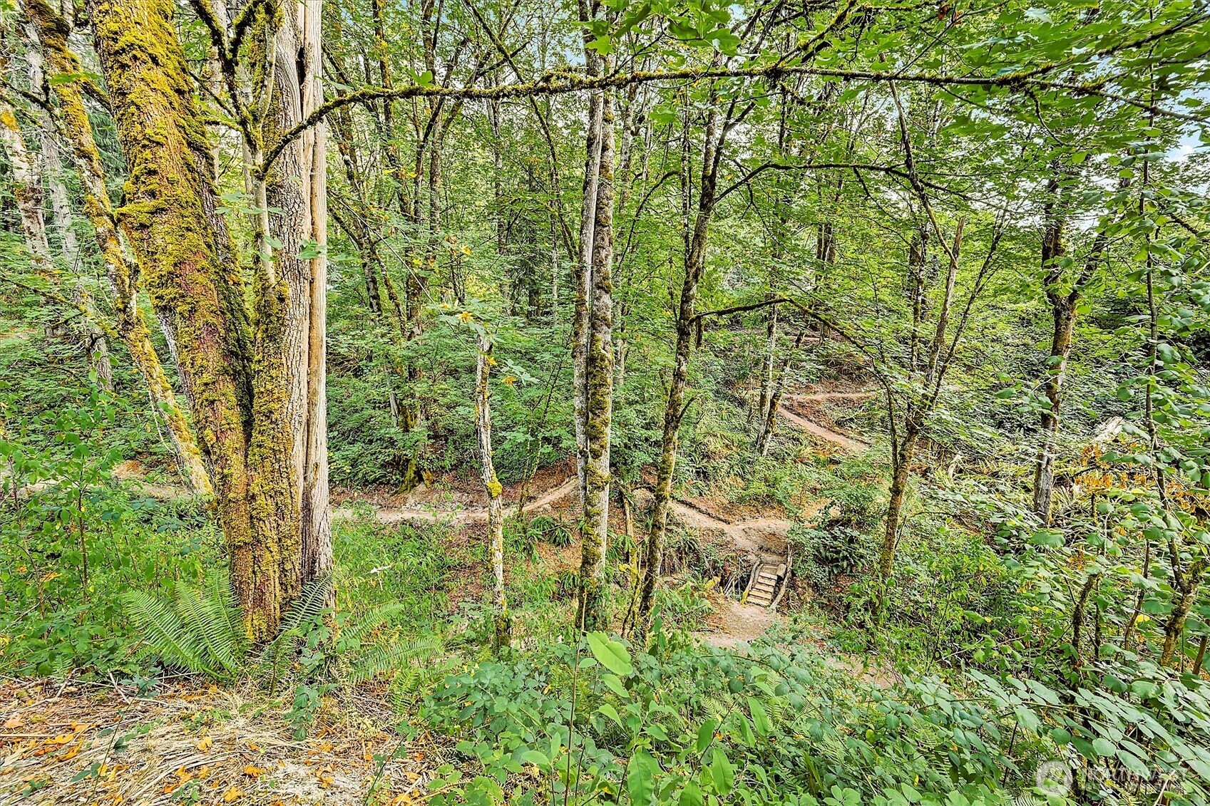 5507 Waller Road East Tacoma, WA 98443 - Photo 10 of 40 Gallery Image 10