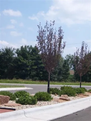 $269,000 | L126 Lucas Sun Prairie, Sun Prairie, WI 53590