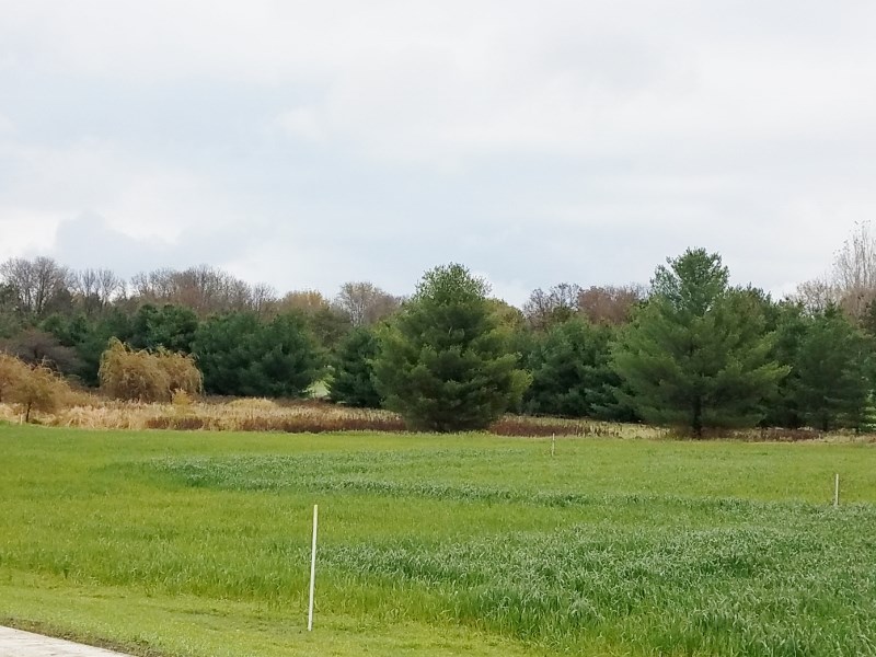 L126 Lucas Sun Prairie Sun Prairie, WI 53590 - Photo 20 of 21