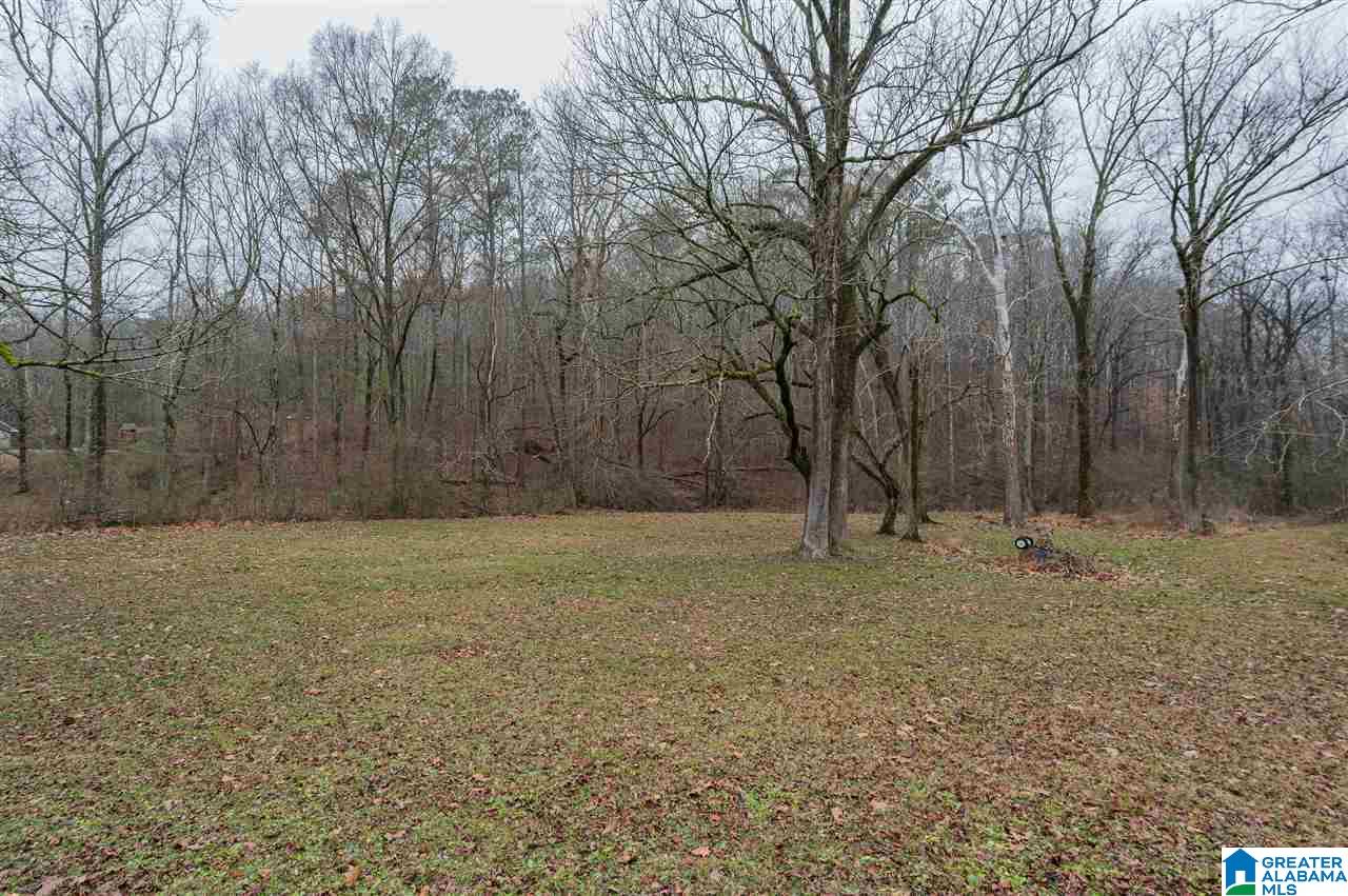 9050 Highway 75 Remlap, AL 35133 - Photo 35 of 38