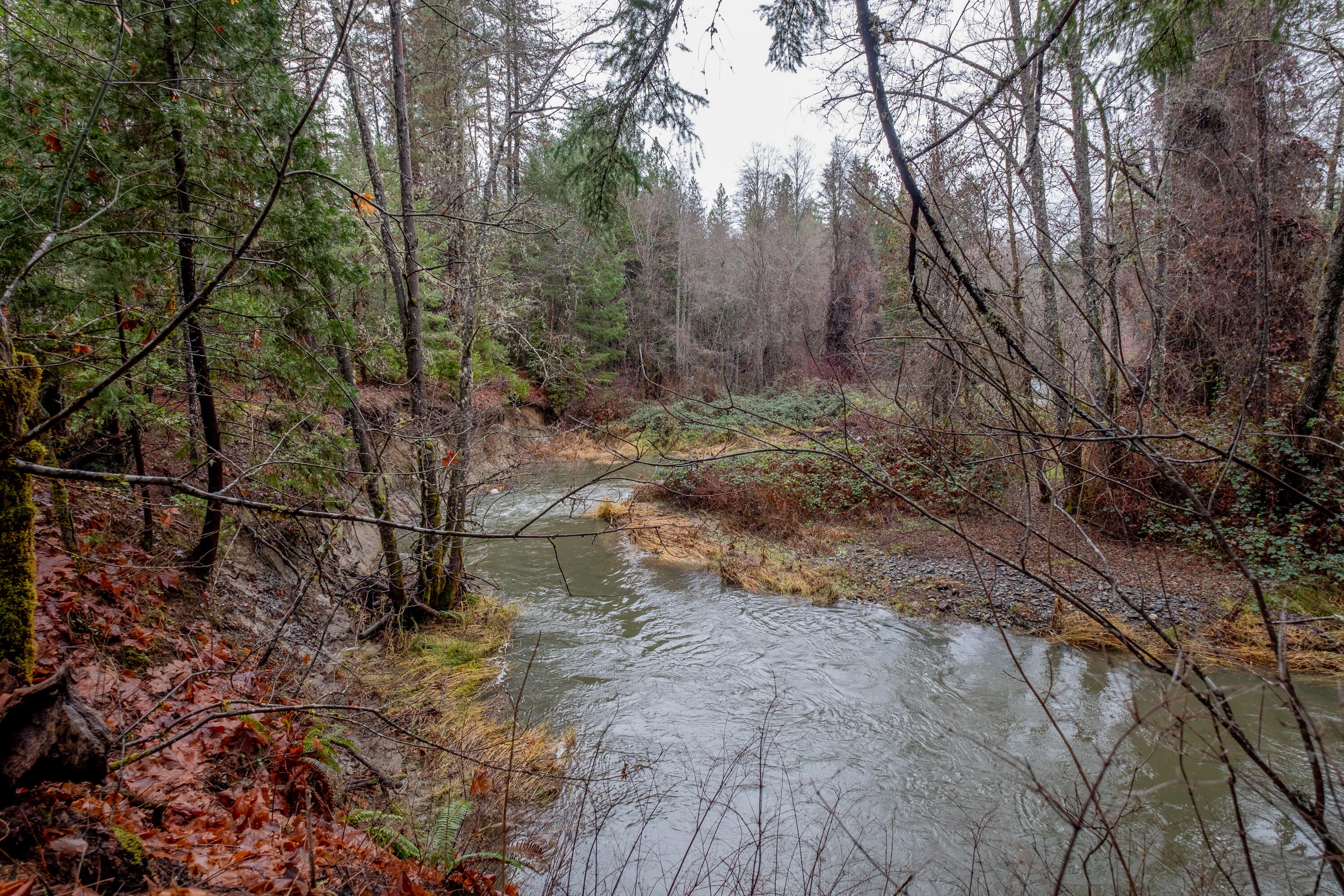 Pleasant Creek Road, Unit 122 Rogue River, OR 97537 - Photo 8 of 9 Lot 4 (4)