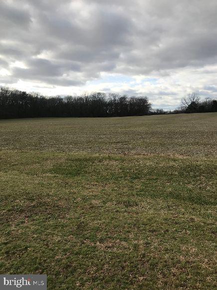 0 Cubby Hollow Road Bridgeton, NJ 08302 - Photo 2 of 2