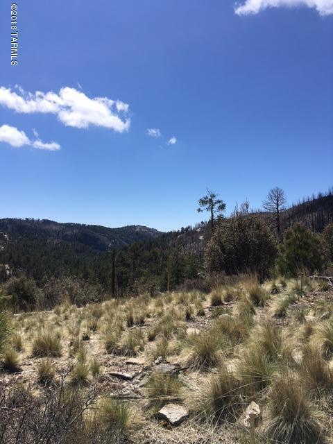 11179 East Upper Goat Hill Road, Unit 17 Mount Lemmon, AZ 85619 - Photo 8 of 10