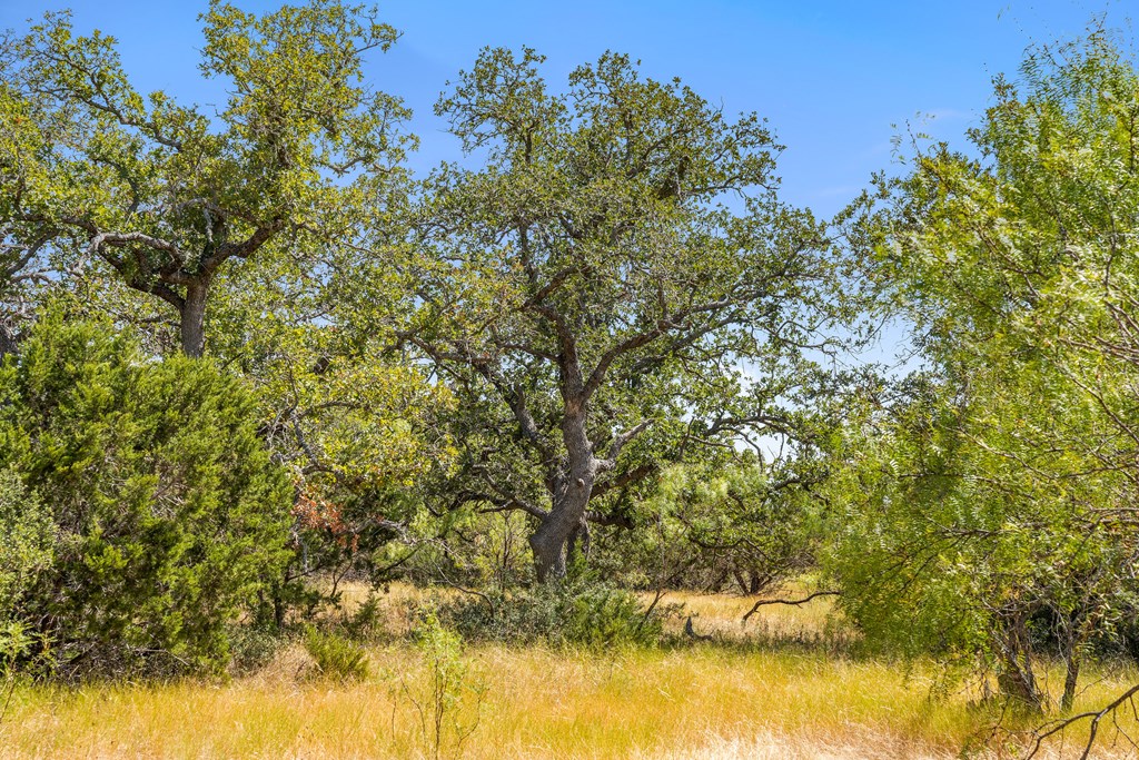 1633 Herber-Schaefer Road Fredericksburg, TX 78624 - Photo 14 of 32