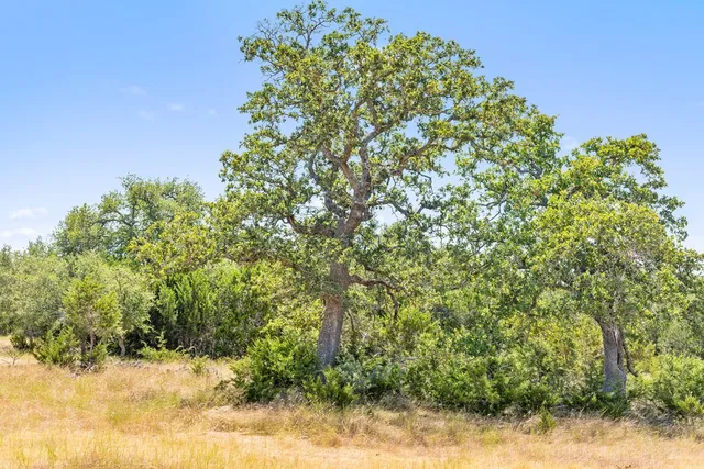 $470,000 | 1633 Herber-Schaefer Road, Fredericksburg, TX 78624