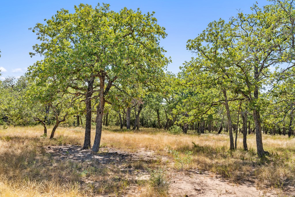 1633 Herber-Schaefer Road Fredericksburg, TX 78624 - Photo 18 of 32 a view of yard covered with snow
