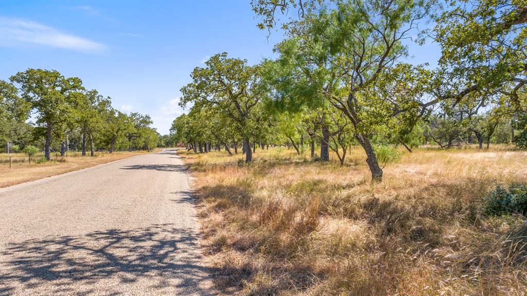 1633 Herber-Schaefer Road Fredericksburg, TX 78624 - Photo 2 of 32 a view of backyard of house with green space