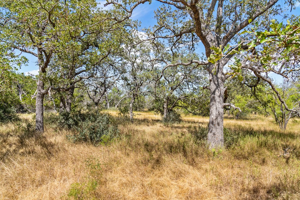 1633 Herber-Schaefer Road Fredericksburg, TX 78624 - Photo 29 of 32 a view of a yard