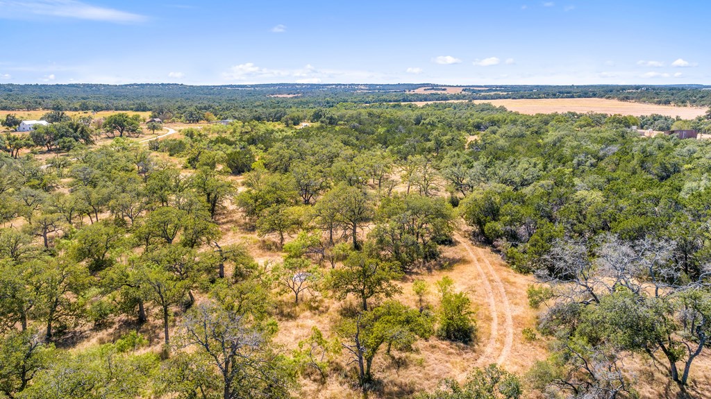 1633 Herber-Schaefer Road Fredericksburg, TX 78624 - Photo 3 of 32 a view of an outdoor space and a lake view