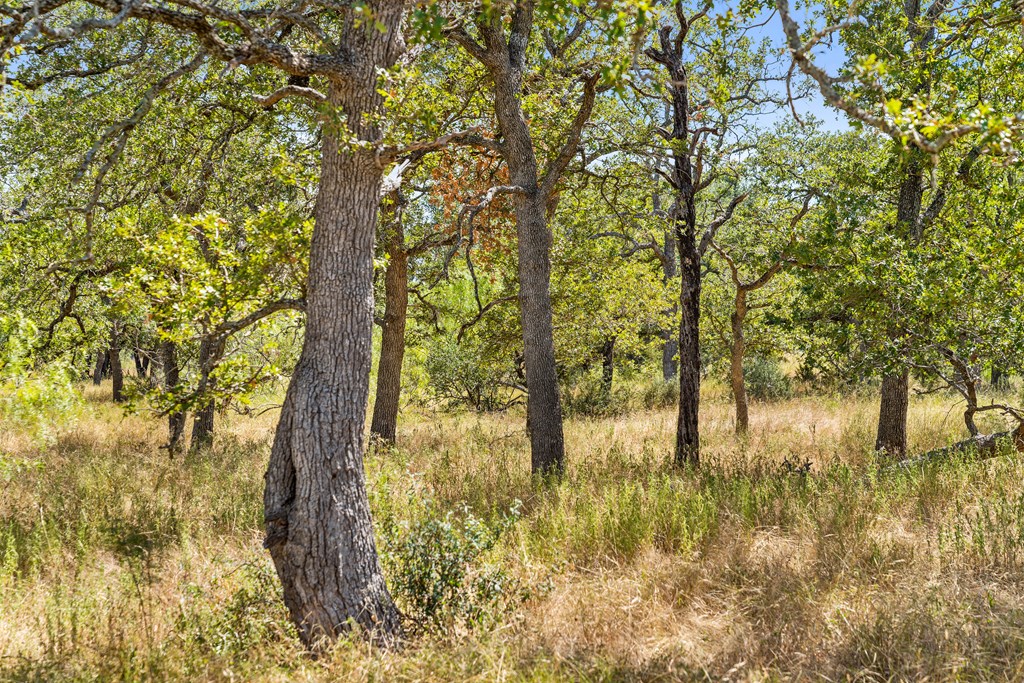 1633 Herber-Schaefer Road Fredericksburg, TX 78624 - Photo 31 of 32 a view of lake
