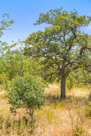 $470,000 | 1633 Herber-Schaefer Road, Fredericksburg, TX 78624