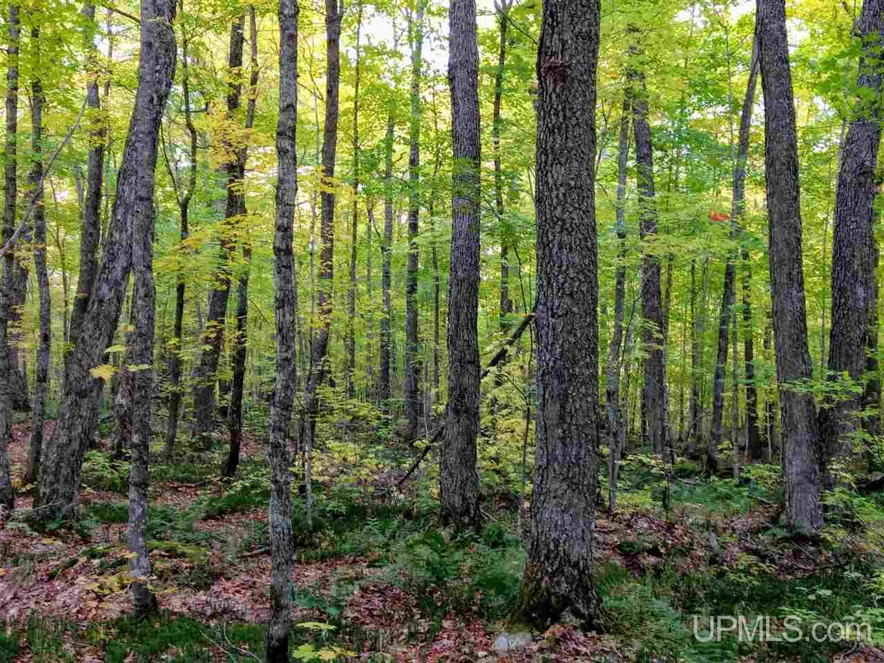 Tbd Peshekee Grade Road Skanee, MI 49962 - Photo 4 of 35