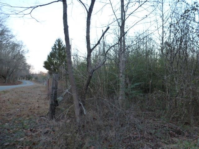 4341 14th Waterloo, AL 35677 - Photo 3 of 4
