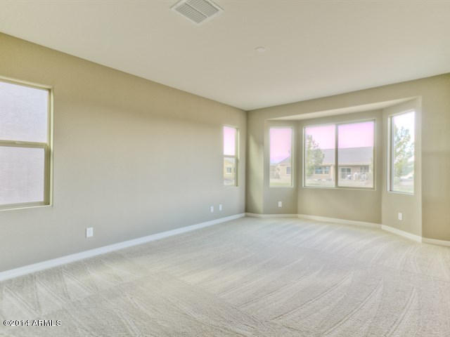 41988 West Cribbage Road Maricopa, AZ 85138 - Photo 13 of 30 015_Master Suite