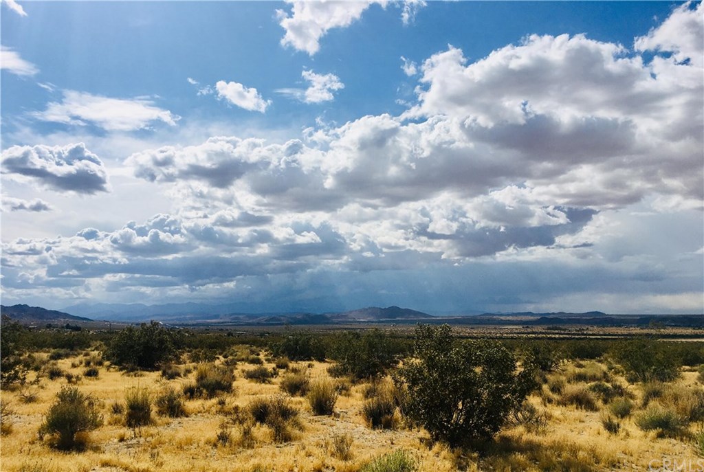 6659 Copper Mesa Road Joshua Tree, CA 92252 - Photo 5 of 7