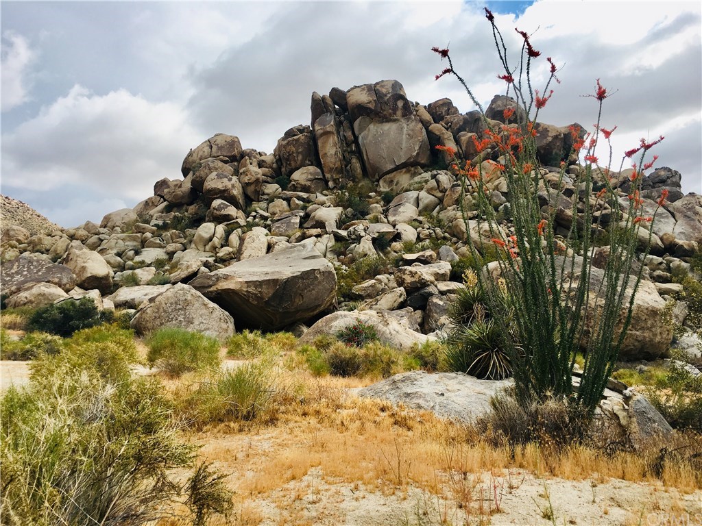 6659 Copper Mesa Road Joshua Tree, CA 92252 - Photo 6 of 7 Just a short walk up the street to boulders and Joshua Tree National Park.
