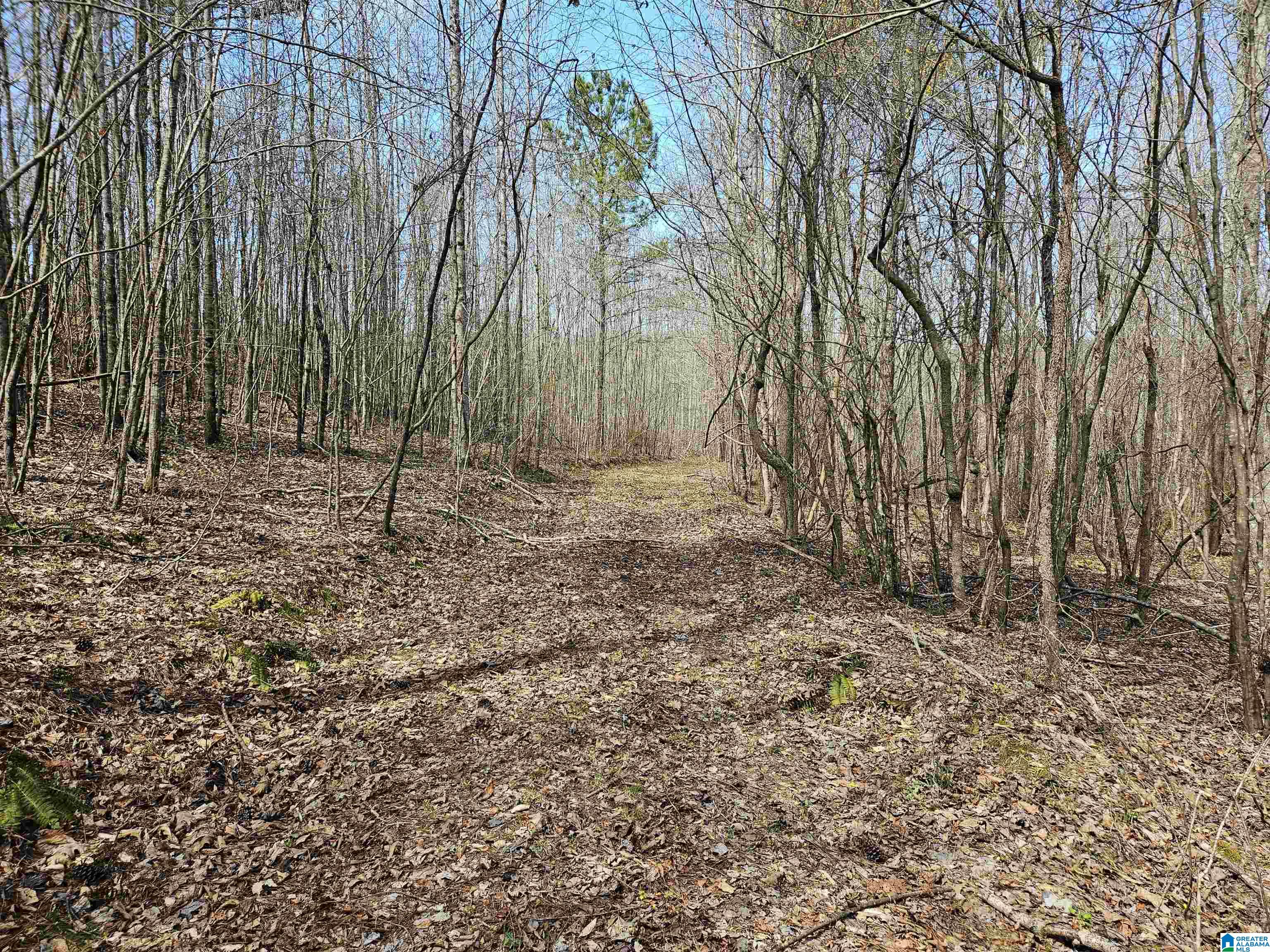 0 Shoal Creek Road Ragland, AL 35131 - Photo 13 of 22 Gallery Image 13
