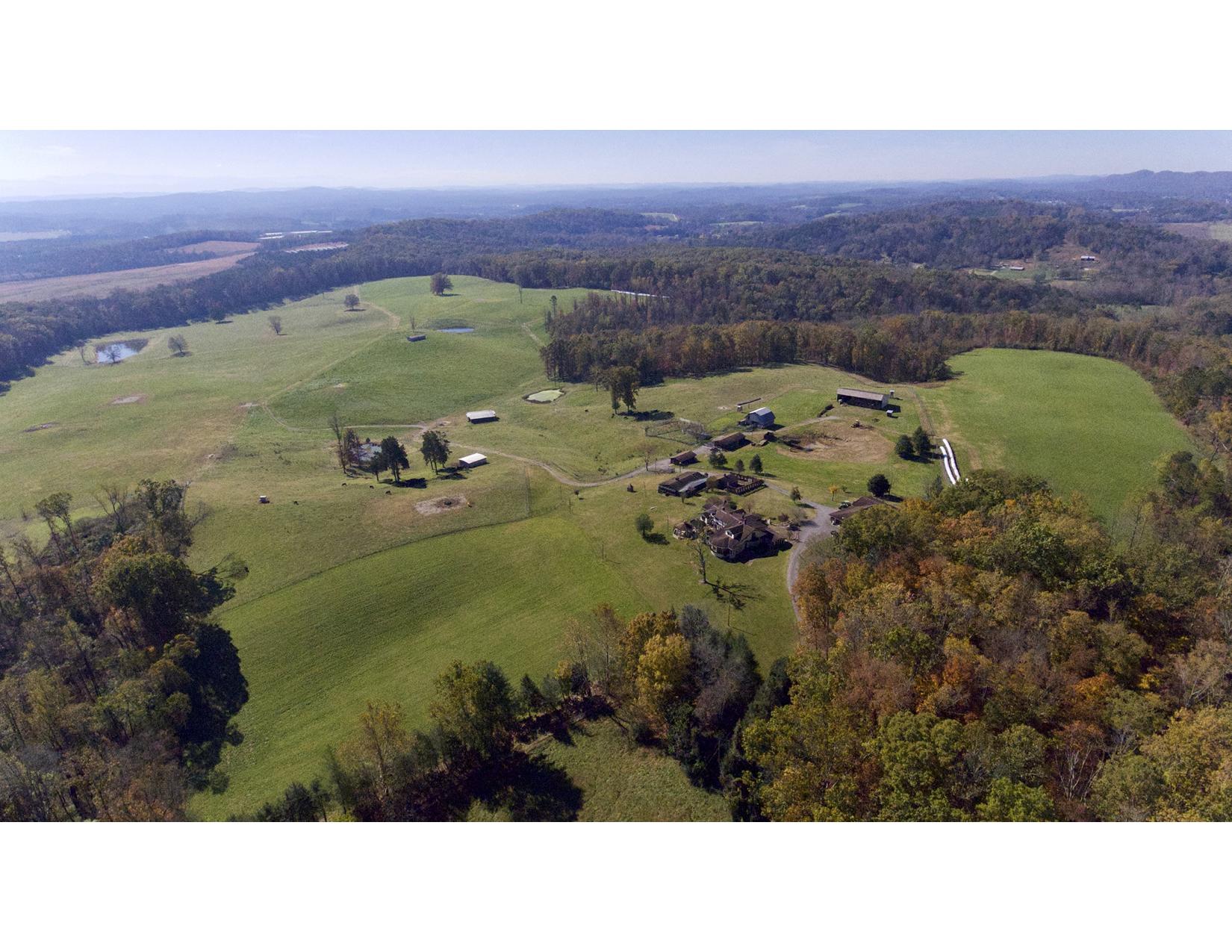 3429 Clear Springs Road Mascot, TN 37806 - Photo 3 of 26 Pasture