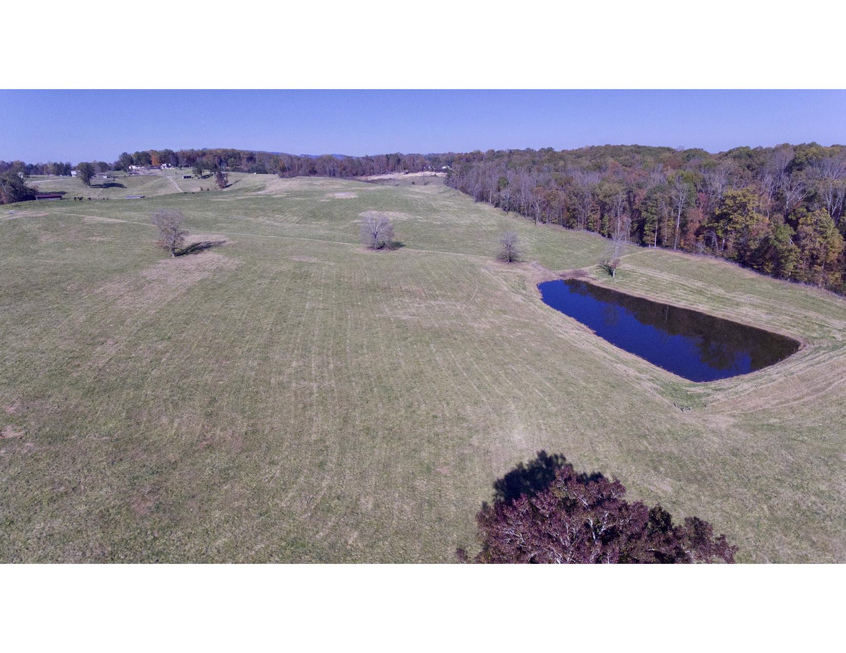 3429 Clear Springs Road Mascot, TN 37806 - Photo 4 of 26 Pasture 2