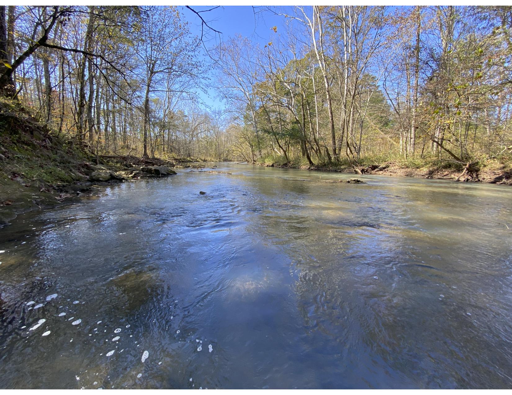 3429 Clear Springs Road Mascot, TN 37806 - Photo 5 of 26 River