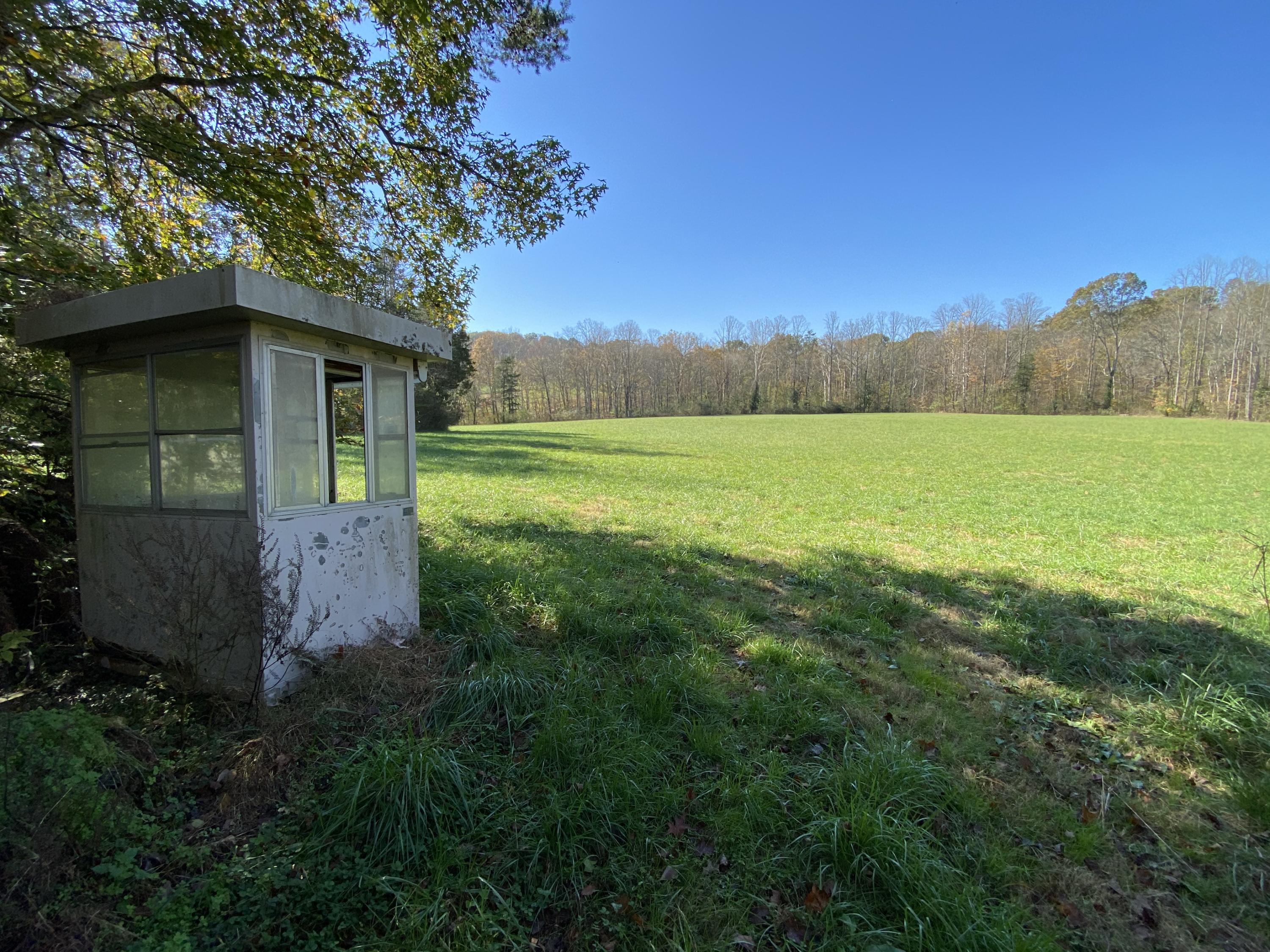 3429 Clear Springs Road Mascot, TN 37806 - Photo 6 of 26 Back Field