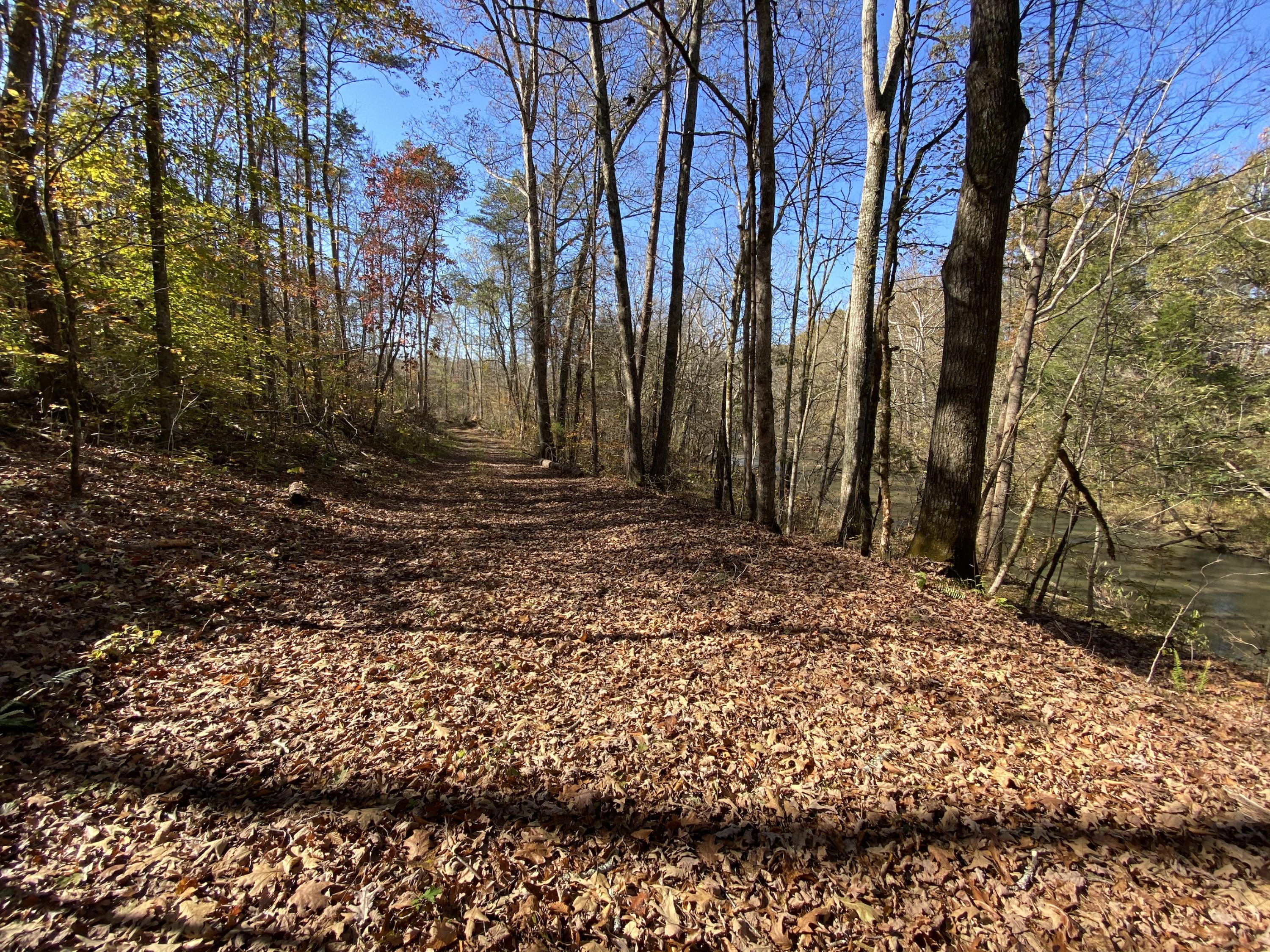 3429 Clear Springs Road Mascot, TN 37806 - Photo 7 of 26 River Road