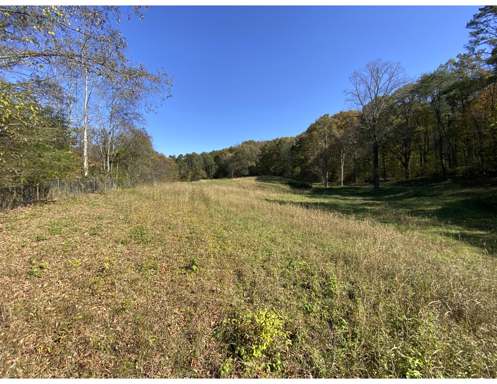 3429 Clear Springs Road Mascot, TN 37806 - Photo 8 of 26 Back Food Plot