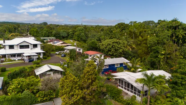 an aerial view of residential houses with outdoor space and trees
