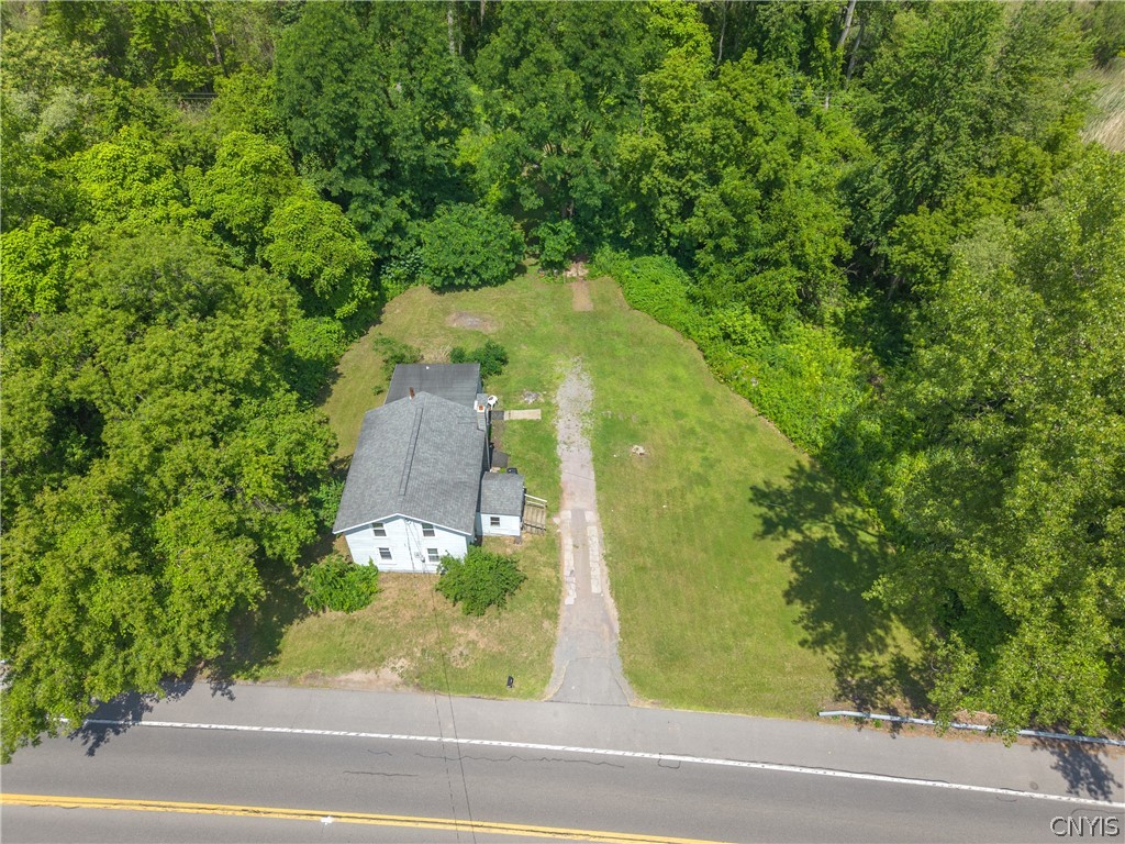 5319 Bear Road Clay, NY 13212 - Photo 18 of 23