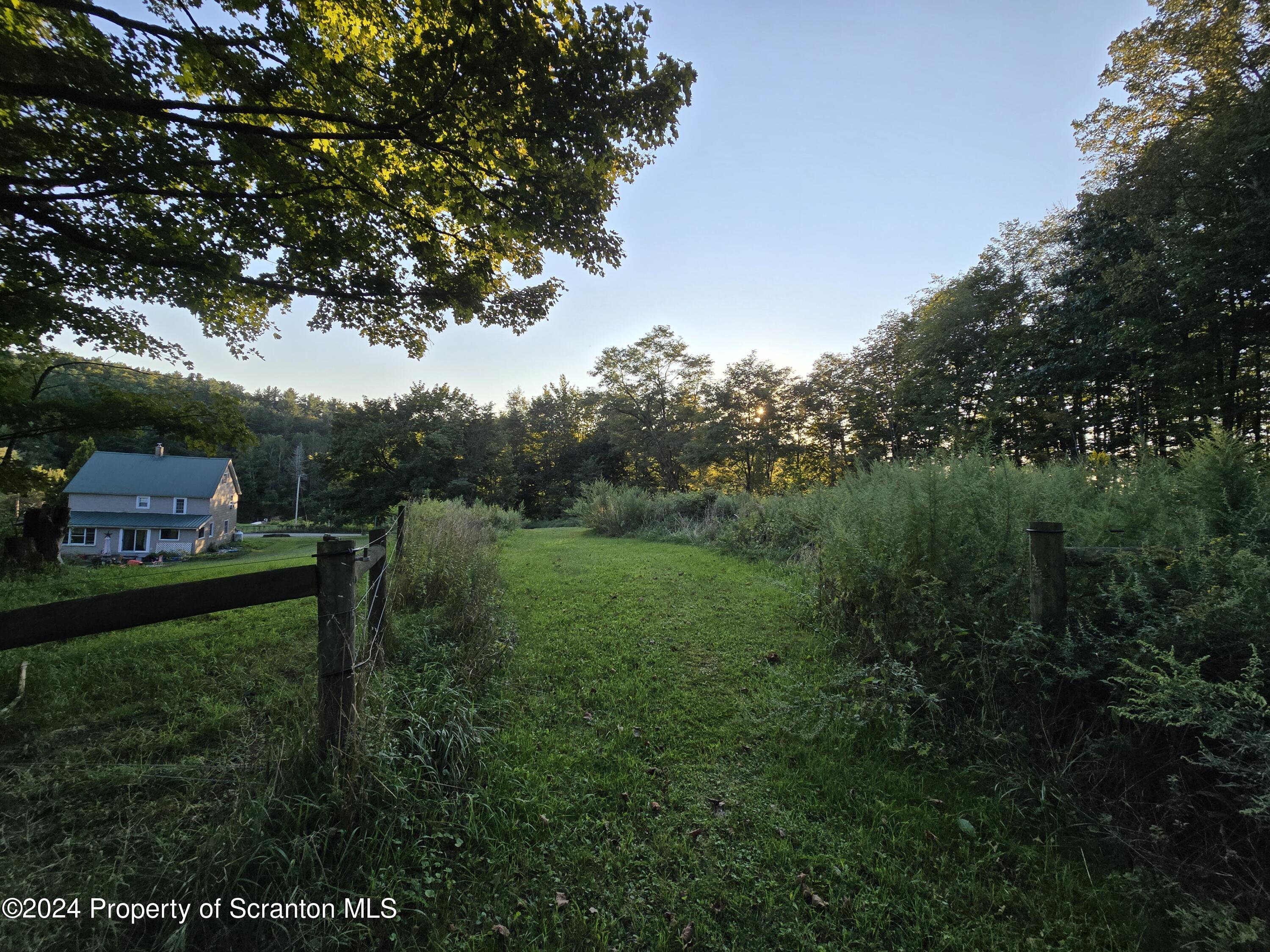 13899 Dimock To Nicholson Road Hop Bottom, PA 18824 - Photo 8 of 27 a view of a back yard