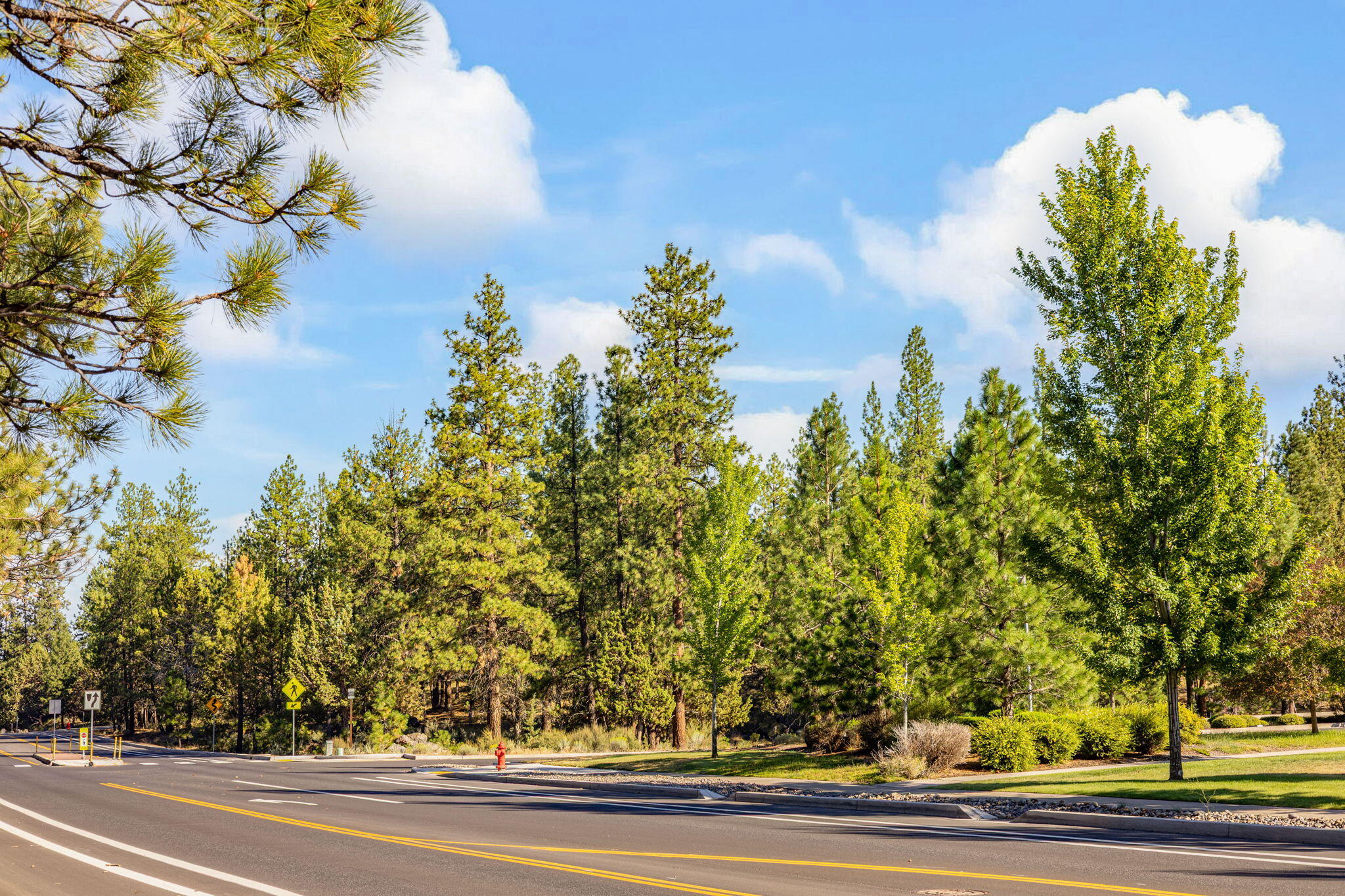 2455 Northwest Shevlin Park Road Bend, OR 97703 - Photo 5 of 25 Street view