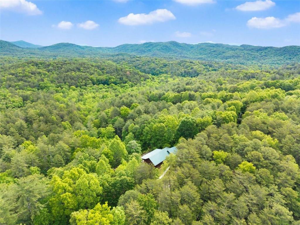 707 South Fern Cove Road Sautee Nacoochee, GA 30571 - Photo 48 of 60 a view of a lush green forest with houses in the back