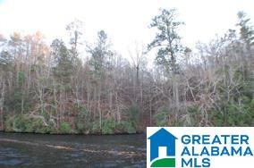 0 Bluff Road, Unit 1 Rockford, AL 35136 - Photo 9 of 18