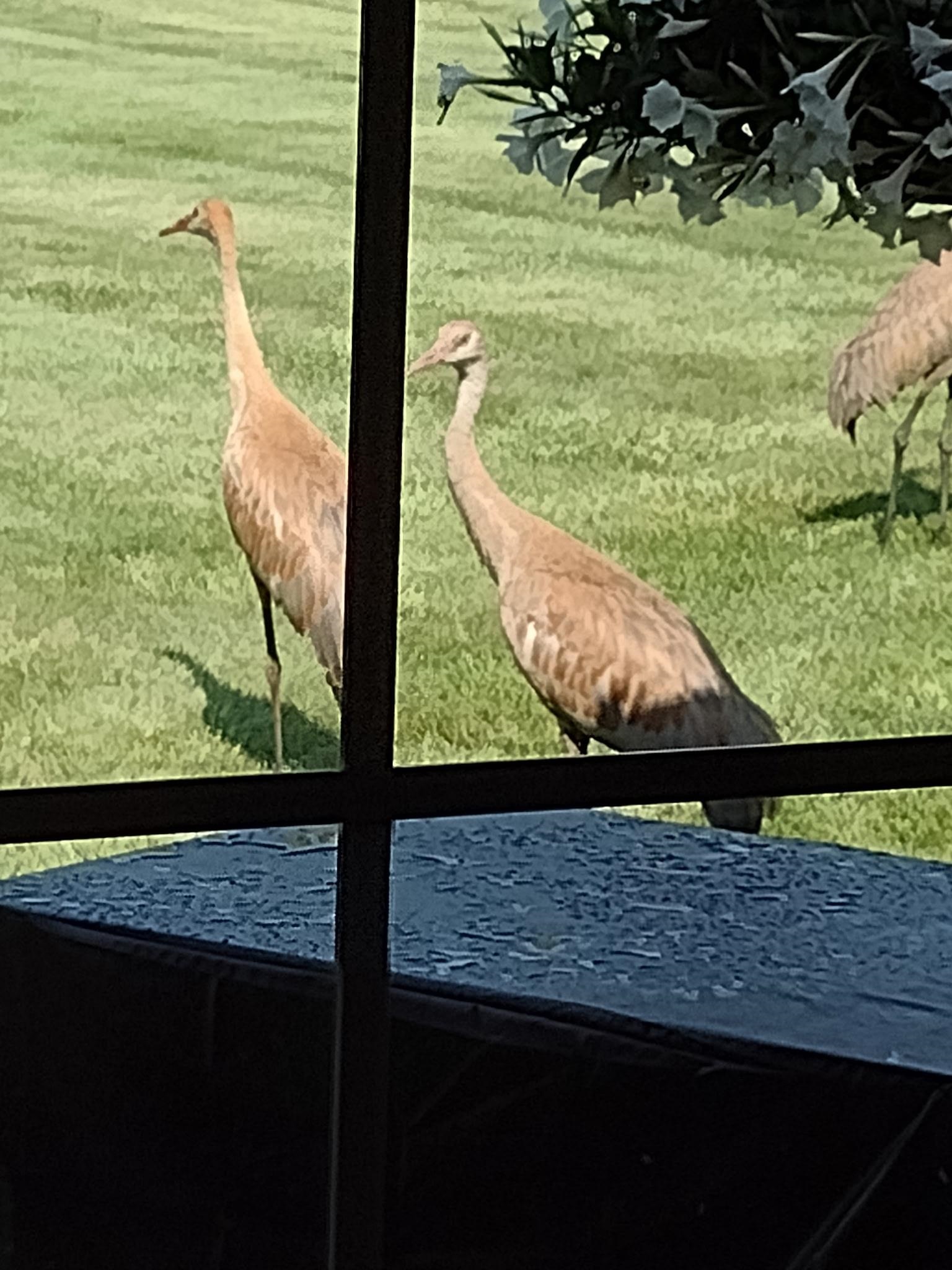 N5619 Riverside Drive Shawano, WI 54166 - Photo 35 of 35