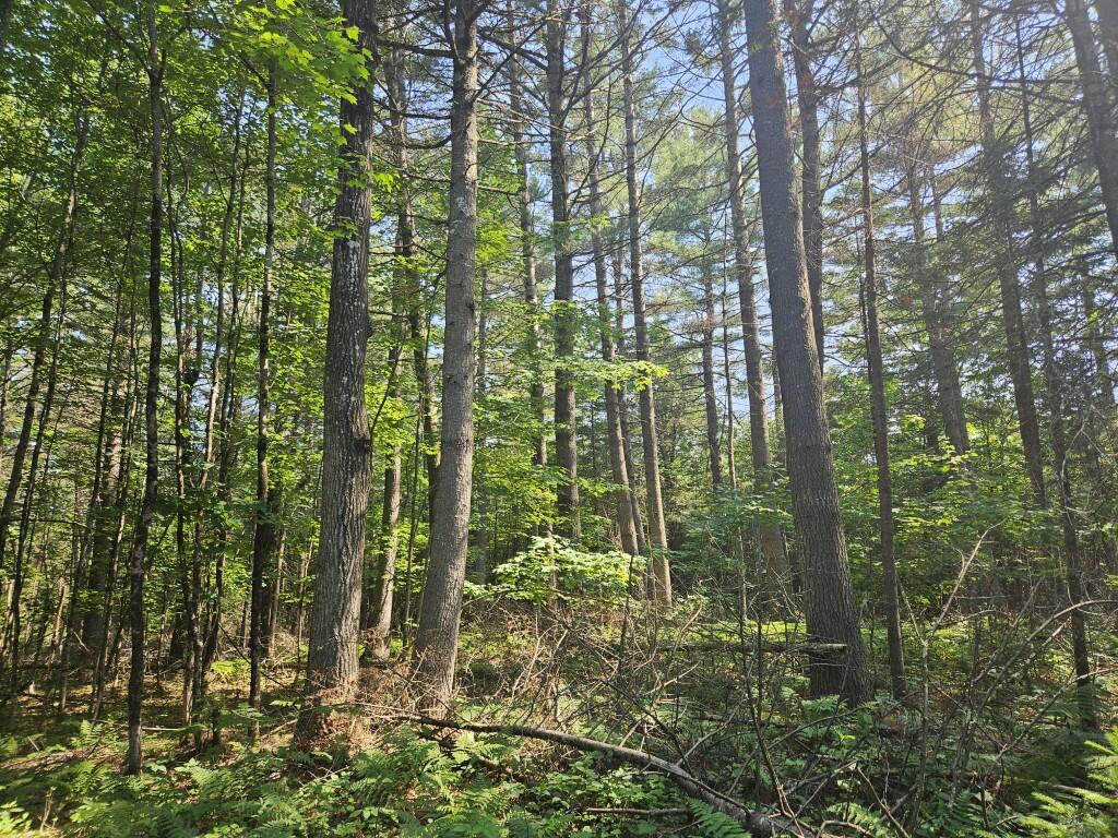 5 Farmington Falls Road New Sharon, ME 04955 - Photo 14 of 39 20260629_152540