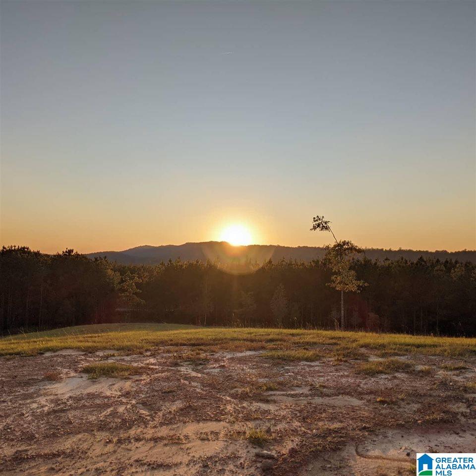 Lot 9 Highway 69 Chelsea Al, Unit 9 Chelsea, AL 35043 - Photo 3 of 6