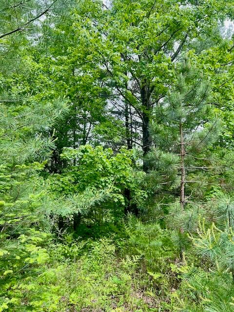 Ray Road Mio, MI 48647 - Photo 25 of 30 Gallery Image 25
