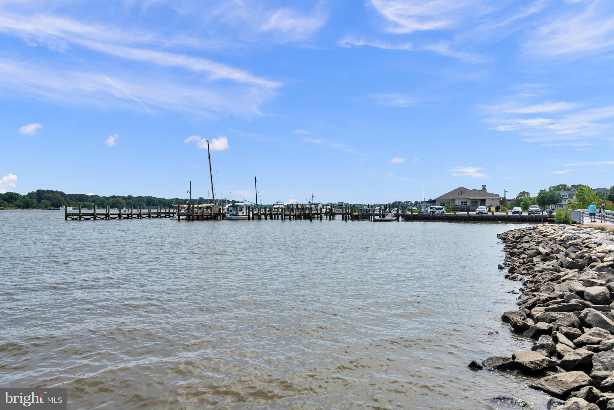 8629 Airy Hill Road Chestertown, MD 21620 - Photo 45 of 45 Nearby Chester River