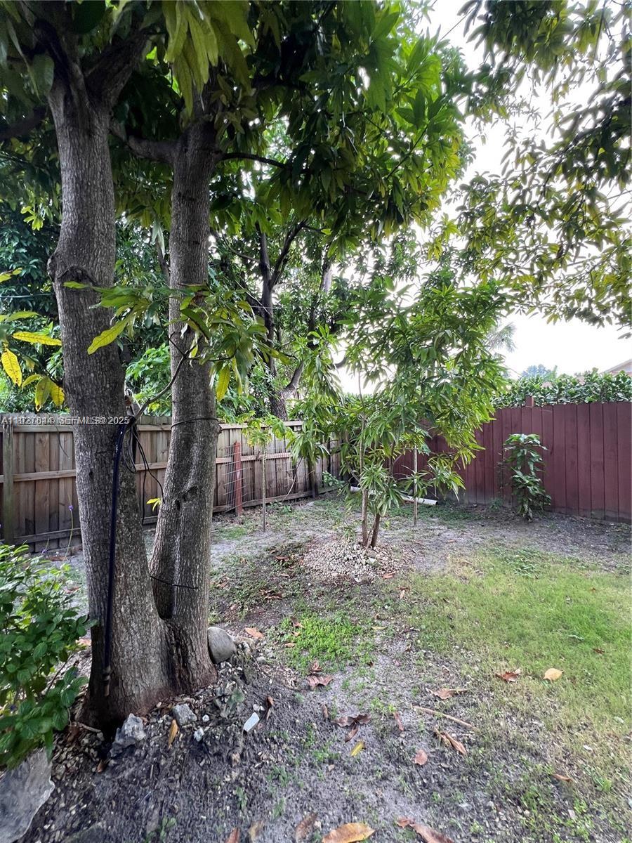 1581 Northeast 117th Street Miami, FL 33161 - Photo 27 of 29 a backyard of a house with lots of green space